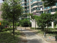 龙柏四季花园实景图3