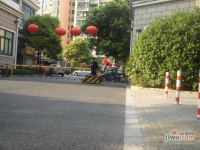 龙柏四季花园实景图3