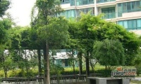 龙柏四季花园实景图3