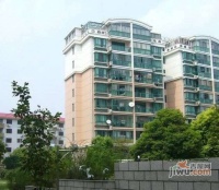 龙柏四季花园实景图3
