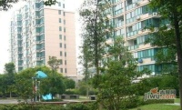 龙柏四季花园实景图3