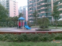 龙柏四季花园实景图3