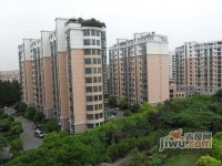 龙柏四季花园实景图3