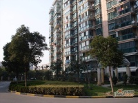 龙柏四季花园实景图3