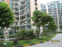 龙柏四季花园实景图3
