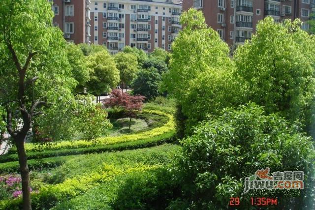 绿洲城市花园实景图图片