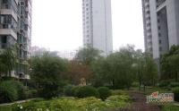 嘉利明珠城实景图图片