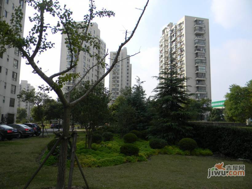 金橘新苑实景图图片