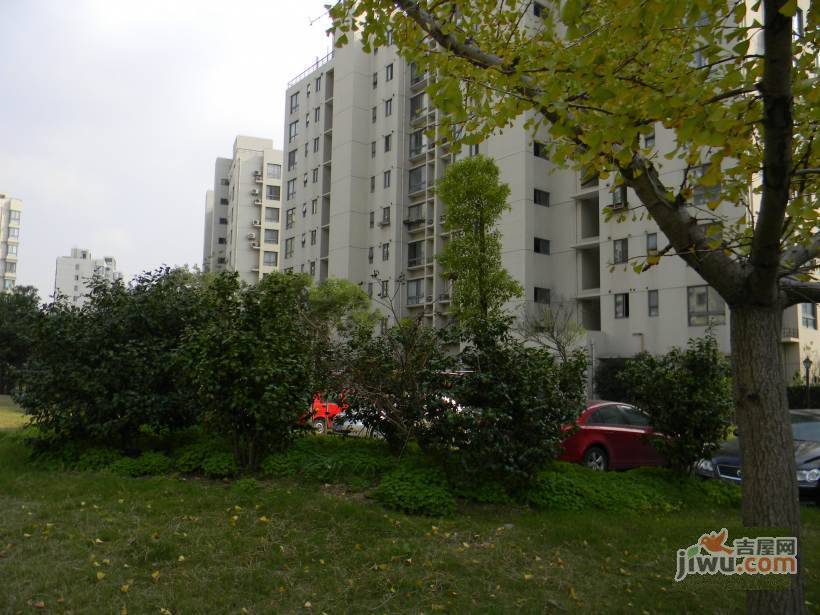 金橘新苑实景图图片