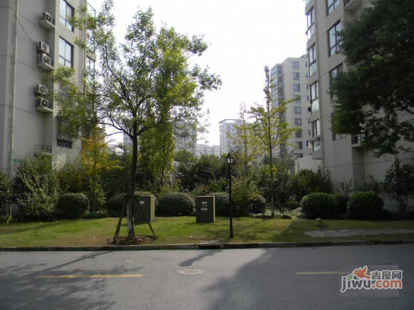 金橘新苑实景图图片