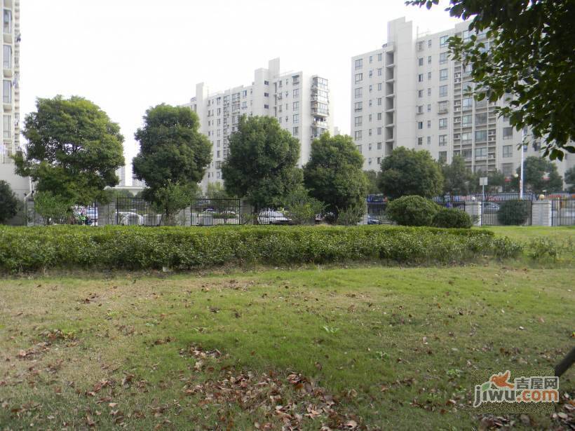 金橘新苑实景图图片