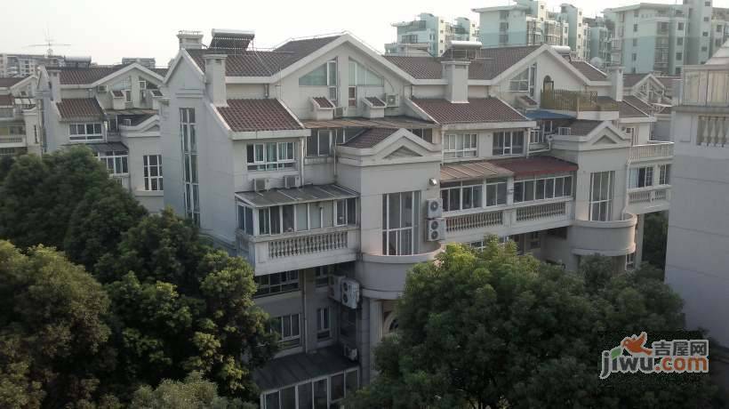 虹桥金斯花园实景图图片