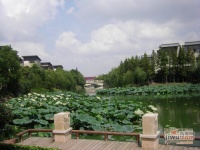 沿海丽水馨庭实景图图片