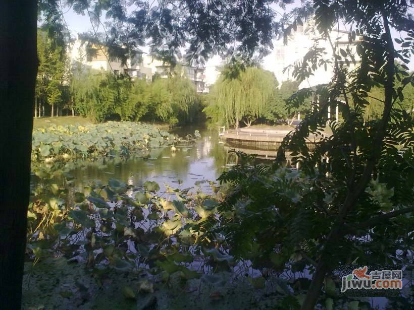 沿海丽水馨庭实景图图片