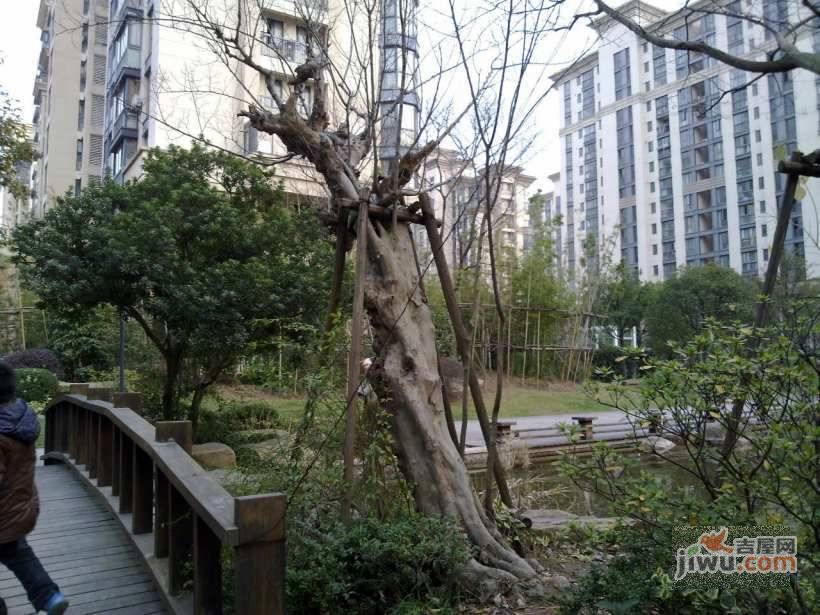 绿地新里崴廉公寓实景图图片