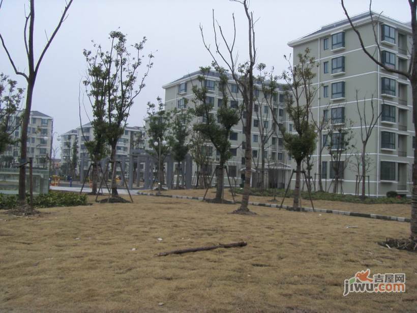 虹景苑实景图图片