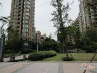 上海绿城实景图图片