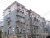 和平小区实景图47