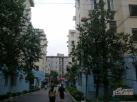 和平小区实景图47