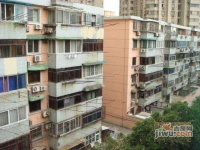 和平小区实景图47