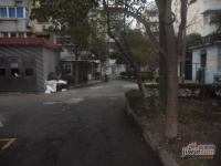 和平小区实景图47