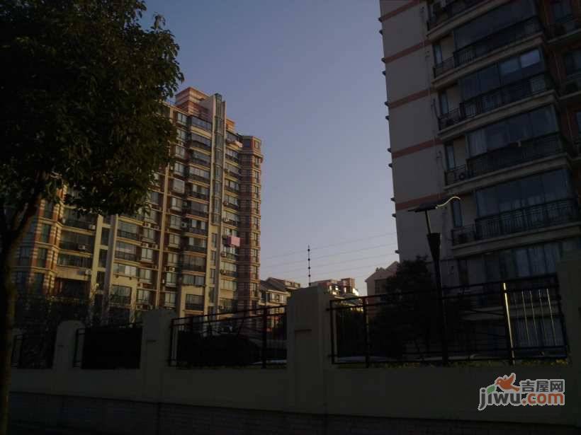 中大丽都实景图图片