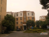 安阁苑实景图5