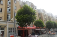 安阁苑实景图5