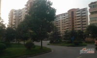 安阁苑实景图5