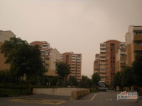 安阁苑实景图5