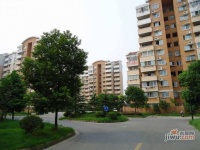 安阁苑实景图5