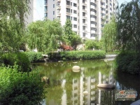 虹桥乐庭实景图2