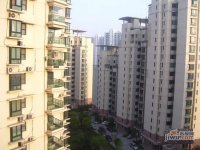 虹桥乐庭实景图2