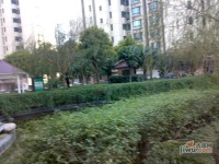 虹桥乐庭实景图2