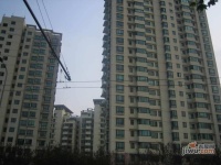 虹桥乐庭实景图2