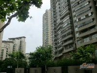 虹桥乐庭实景图2