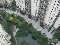 虹桥乐庭实景图2