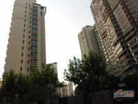 虹桥乐庭实景图2