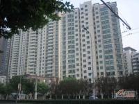 虹桥乐庭实景图2