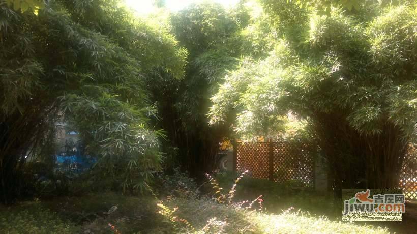 华光花园实景图图片