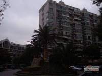 四季绿城实景图0