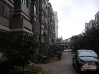 四季绿城实景图0