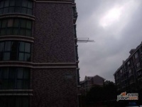 四季绿城实景图0
