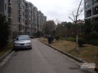 四季绿城实景图0