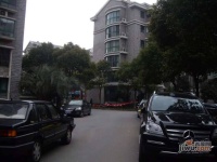 四季绿城实景图0
