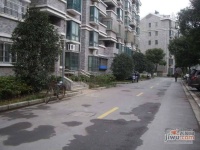 四季绿城实景图0