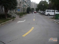 四季绿城实景图0
