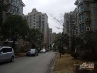 四季绿城实景图0