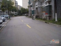 四季绿城实景图0