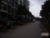四季绿城实景图0